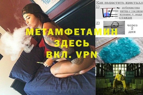 хмурый Верея