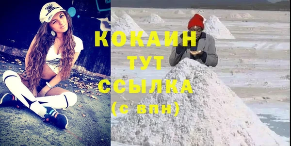 хмурый Верея