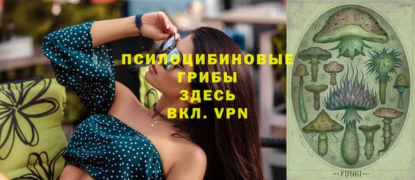 хмурый Верея